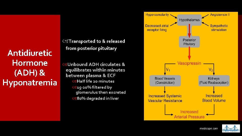  Transported to & released Antidiuretic Hormone (ADH) & Hyponatremia from posterior pituitary Unbound