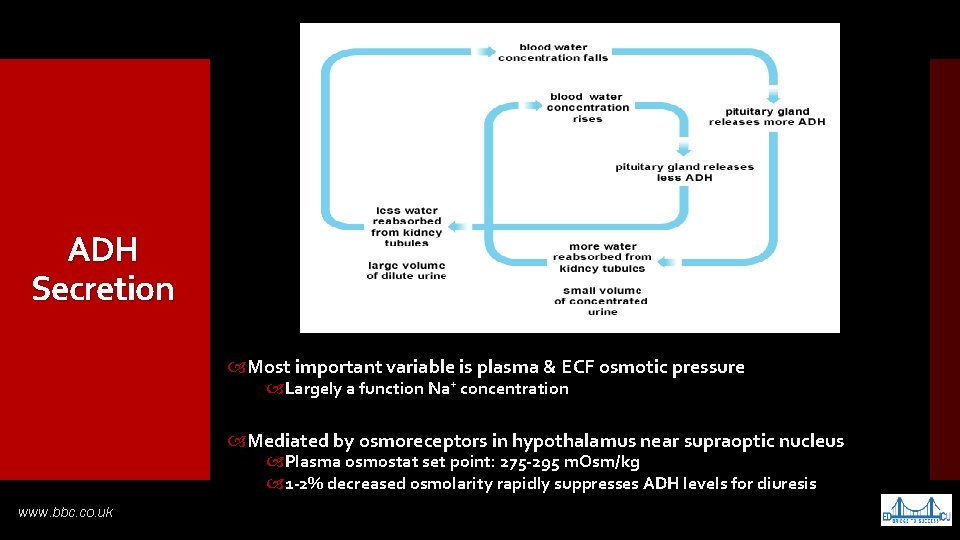 ADH Secretion Most important variable is plasma & ECF osmotic pressure Largely a function
