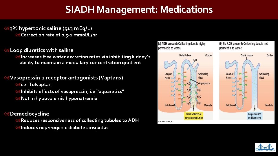 SIADH Management: Medications 3% hypertonic saline (513 m. Eq/L) Correction rate of 0. 5