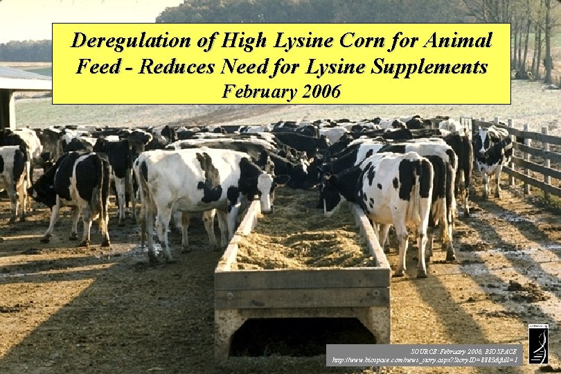 Deregulation of High Lysine Corn for Animal Feed - Reduces Need for Lysine Supplements