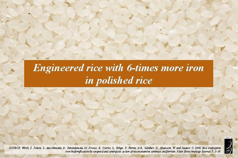 Engineered rice with 6 -times more iron in polished rice SOURCE: Wirth, J. ,