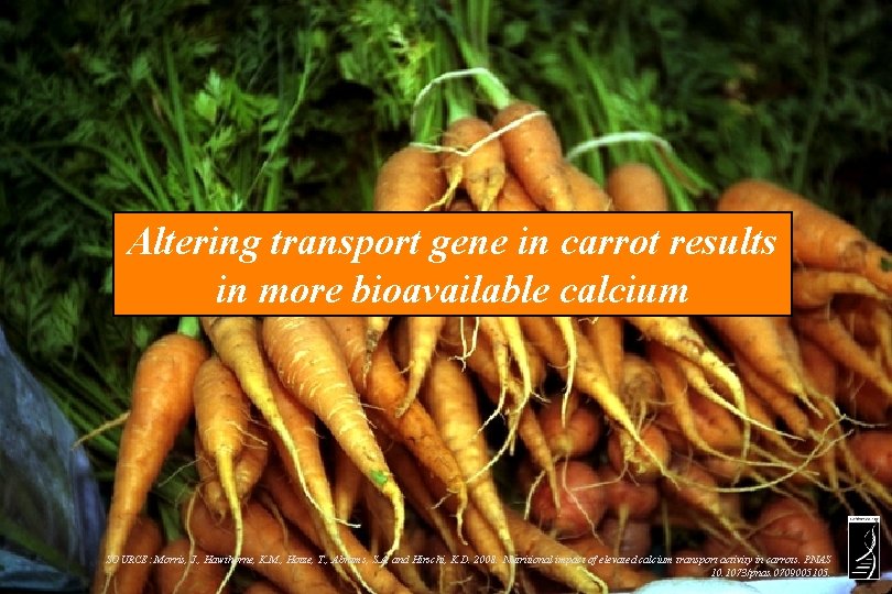 Altering transport gene in carrot results in more bioavailable calcium SOURCE: Morris, J. ,