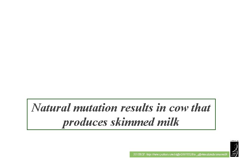 Natural mutation results in cow that produces skimmed milk SOURCE: http: //news. yahoo. com/s/afp/20070528/sc_afp/nzealandsciencemilk