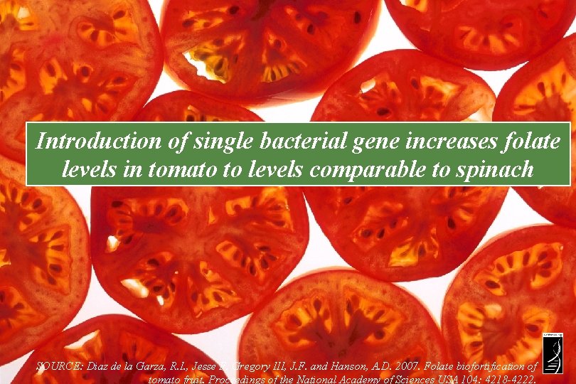 Introduction of single bacterial gene increases folate levels in tomato to levels comparable to