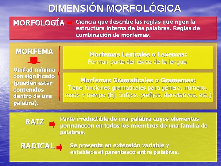 DIMENSIÓN MORFOLÓGICA MORFOLOGÍA MORFEMA Unidad mínima con significado (pueden estar contenidos dentro de una