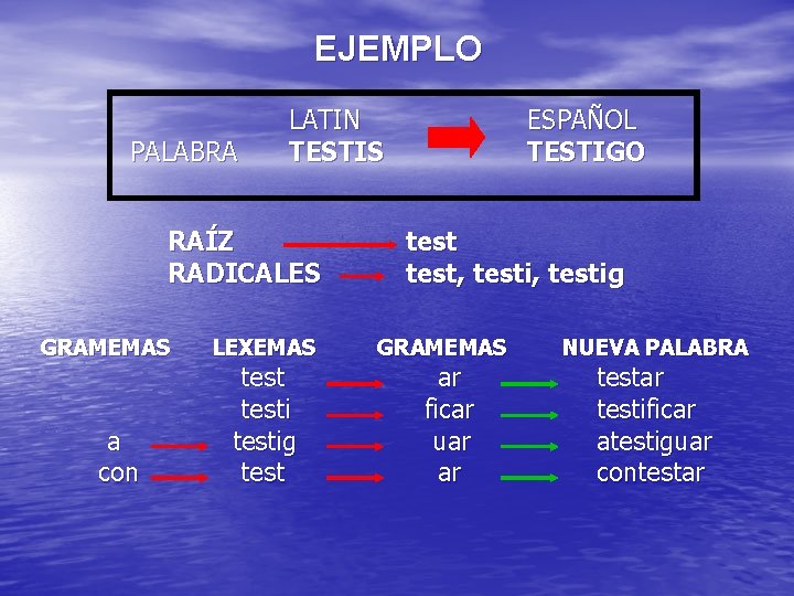 EJEMPLO PALABRA LATIN TESTIS RAÍZ RADICALES GRAMEMAS a con LEXEMAS testig test ESPAÑOL TESTIGO