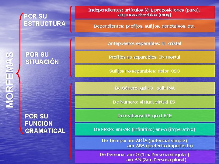 POR SU ESTRUCTURA Independientes: artículos (él), preposiciones (para), algunos adverbios (muy) Dependientes: prefijos, sufijos,