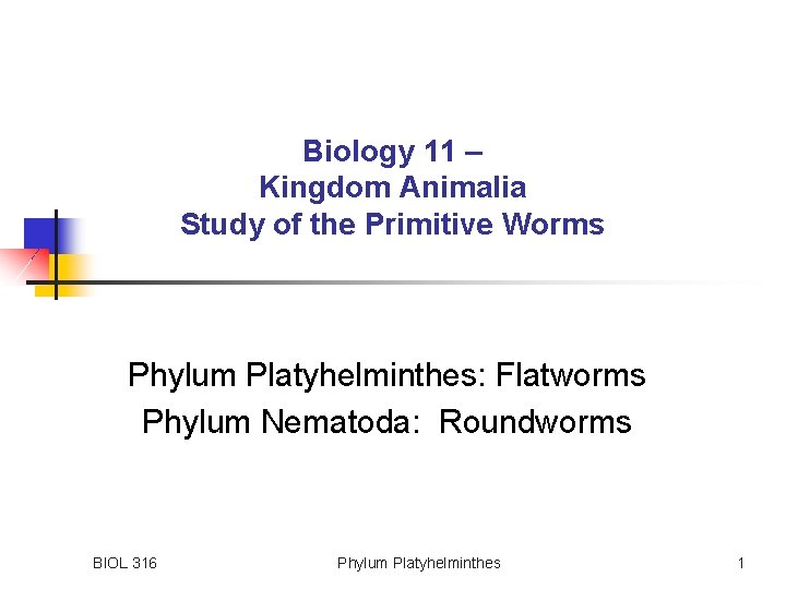 Biology 11 – Kingdom Animalia Study of the Primitive Worms Phylum Platyhelminthes: Flatworms Phylum