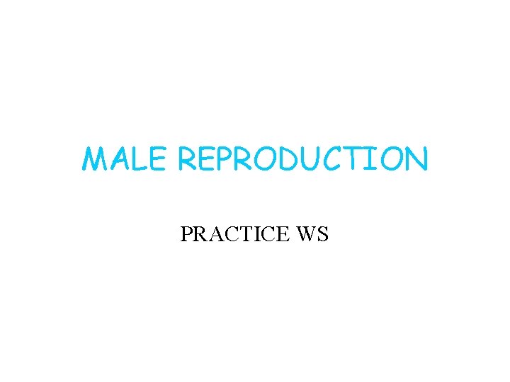 MALE REPRODUCTION PRACTICE WS 