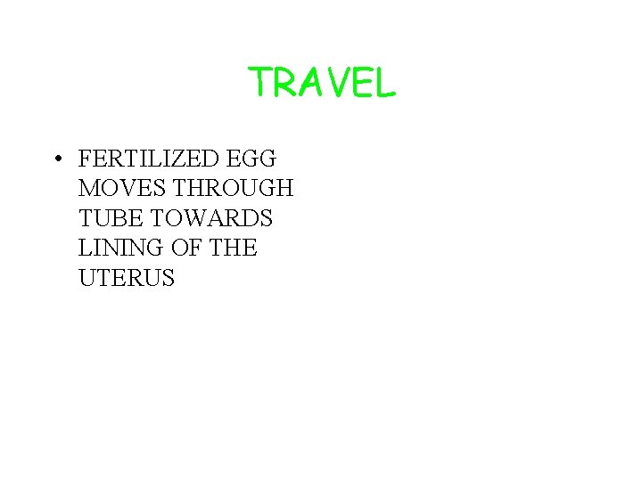 TRAVEL • FERTILIZED EGG MOVES THROUGH TUBE TOWARDS LINING OF THE UTERUS 