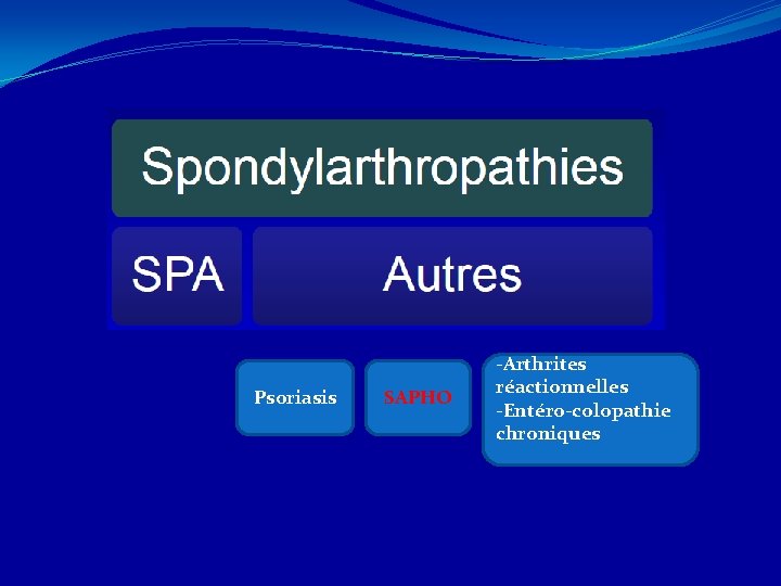 Psoriasis SAPHO -Arthrites réactionnelles -Entéro-colopathie chroniques 