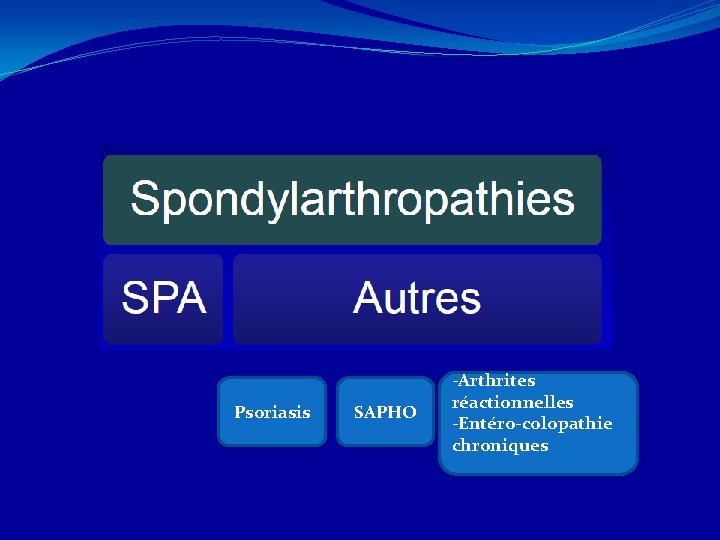 Psoriasis SAPHO -Arthrites réactionnelles -Entéro-colopathie chroniques 