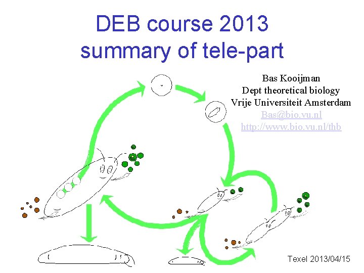DEB course 2013 summary of tele-part Bas Kooijman Dept theoretical biology Vrije Universiteit Amsterdam