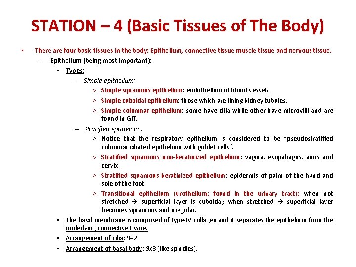 STATION – 4 (Basic Tissues of The Body) • There are four basic tissues