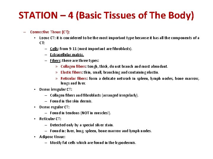 STATION – 4 (Basic Tissues of The Body) – Connective Tissue (CT): • Loose