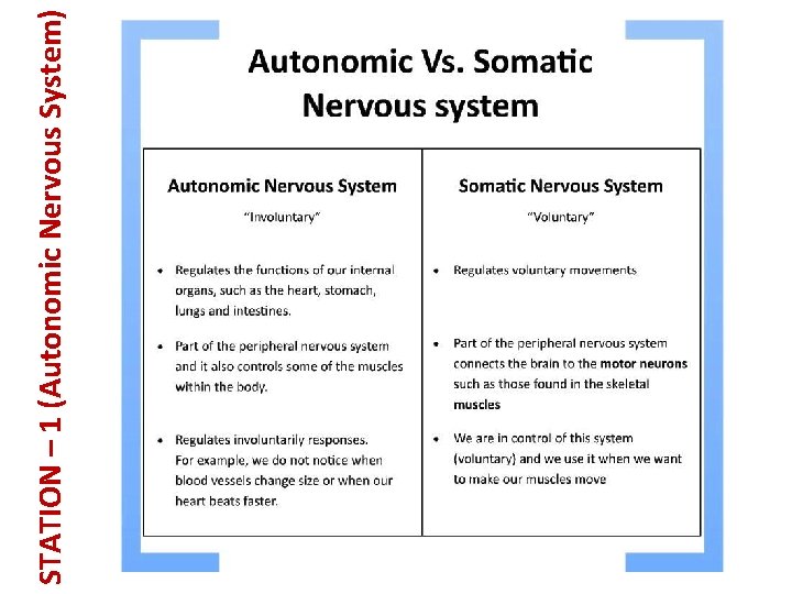 STATION – 1 (Autonomic Nervous System) 