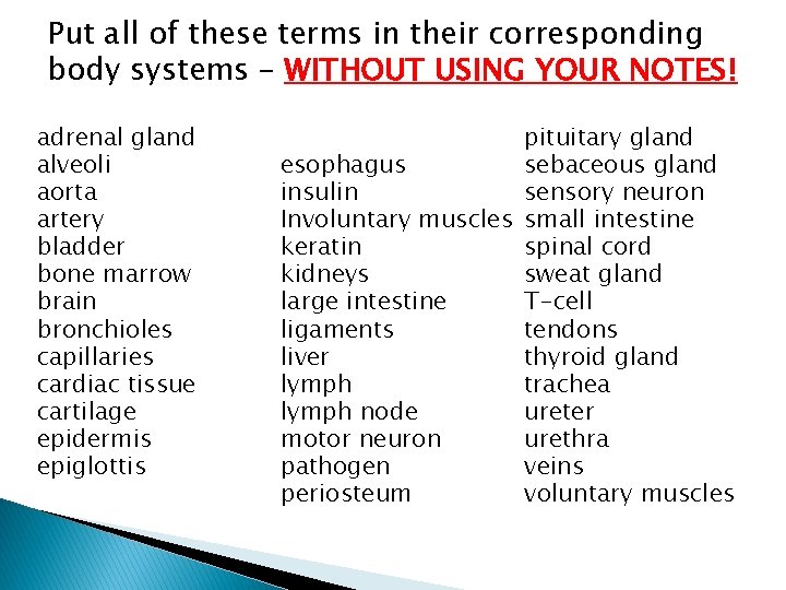Put all of these terms in their corresponding body systems – WITHOUT USING YOUR