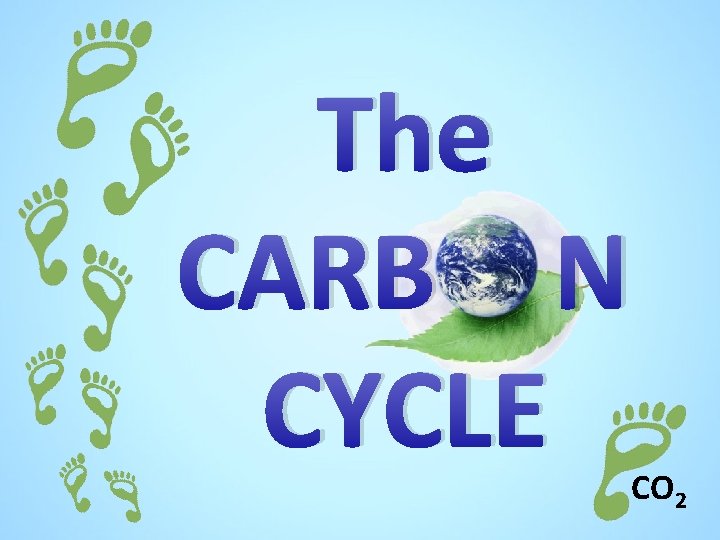 The CARB N CYCLE CO 2 