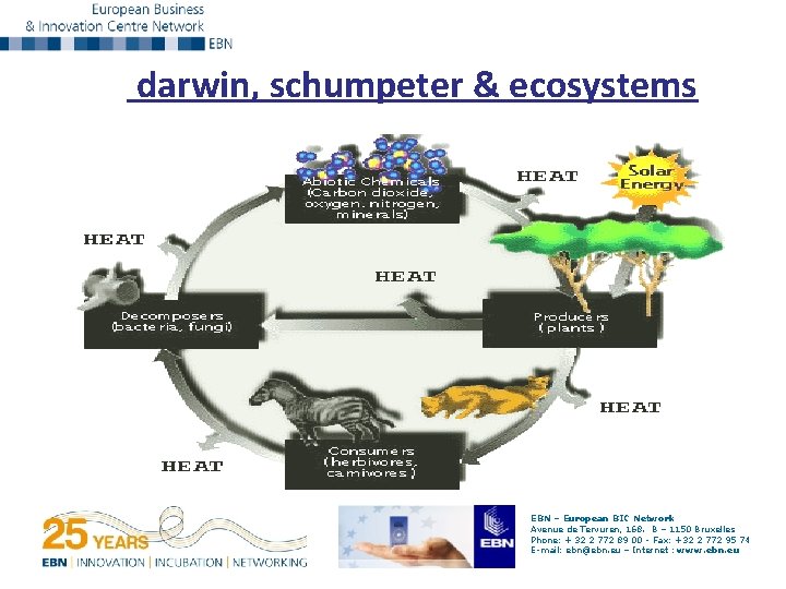 darwin, schumpeter & ecosystems EBN – European BIC Network Avenue de Tervuren, 168. B