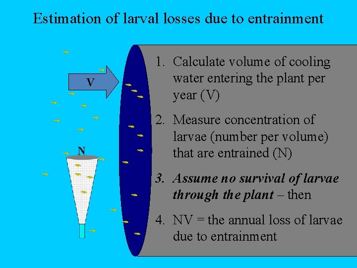 Estimation of larval losses due to entrainment V N 1. Calculate volume of cooling