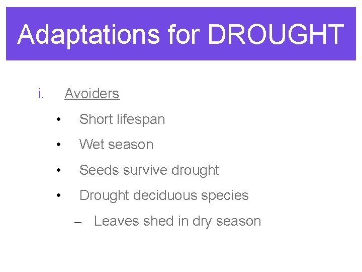 Adaptations for DROUGHT i. Avoiders • Short lifespan • Wet season • Seeds survive