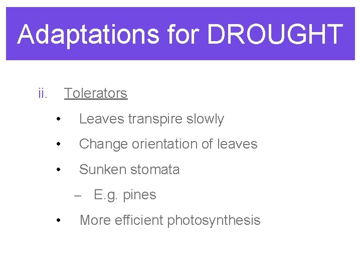 Adaptations for DROUGHT ii. Tolerators • Leaves transpire slowly • Change orientation of leaves