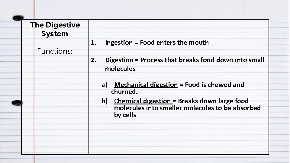 The Digestive System Functions: 1. Ingestion = Food enters the mouth 2. Digestion =