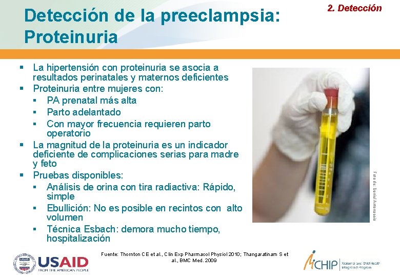 Detección de la preeclampsia: Proteinuria Fuente: Thornton CE et al. , Clin Exp Pharmacol Detección de la preeclampsia: Proteinuria Fuente: Thornton CE et al. , Clin Exp Pharmacol
