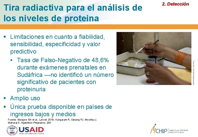 Tira radiactiva para el análisis de los niveles de proteina Fuente: Steegers EA et Tira radiactiva para el análisis de los niveles de proteina Fuente: Steegers EA et