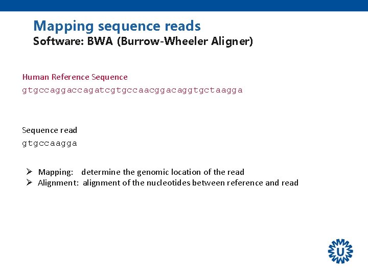 Mapping sequence reads Software: BWA (Burrow-Wheeler Aligner) Human Reference Sequence gtgccaggaccagatcgtgccaacggacaggtgctaagga Sequence read gtgccaagga