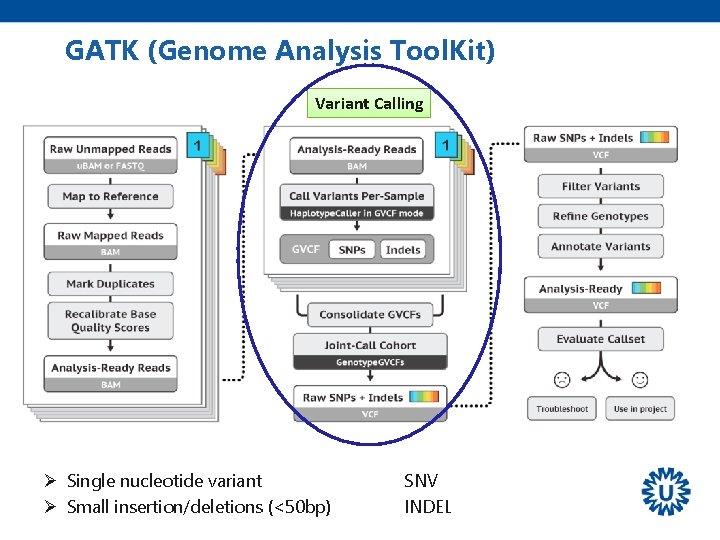 GATK (Genome Analysis Tool. Kit) Variant Calling Ø Single nucleotide variant Ø Small insertion/deletions