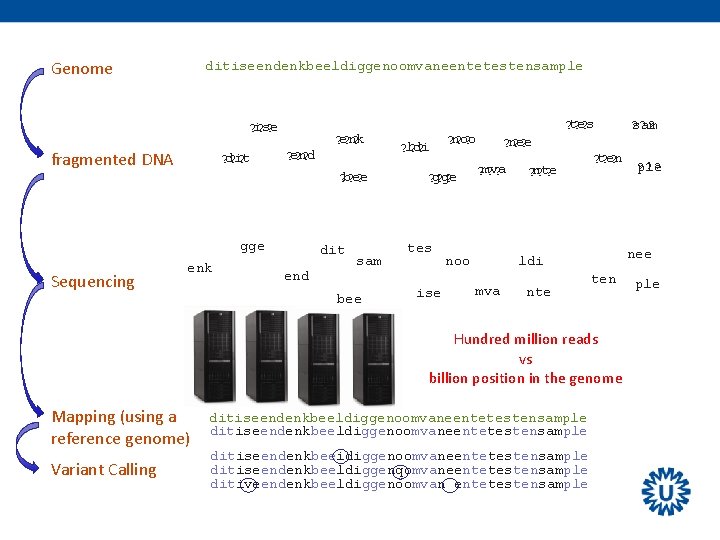 Genome ditiseendenkbeeldiggenoomvaneentetestensample ise ? ? ? fragmented DNA dit ? ? ? end ?