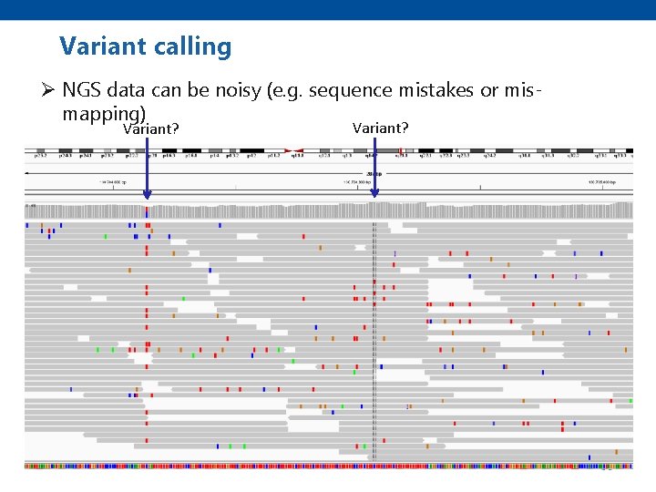 Variant calling Ø NGS data can be noisy (e. g. sequence mistakes or mismapping)