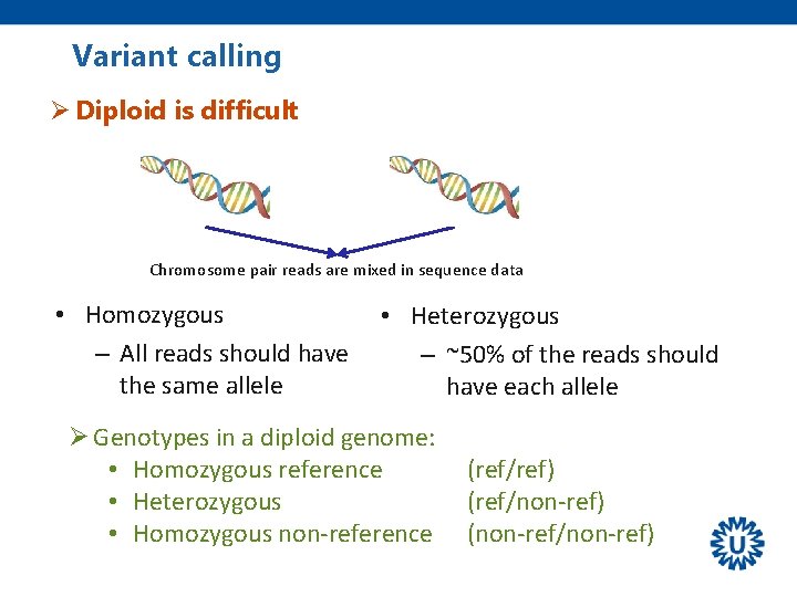 Variant calling Ø Diploid is difficult Chromosome pair reads are mixed in sequence data