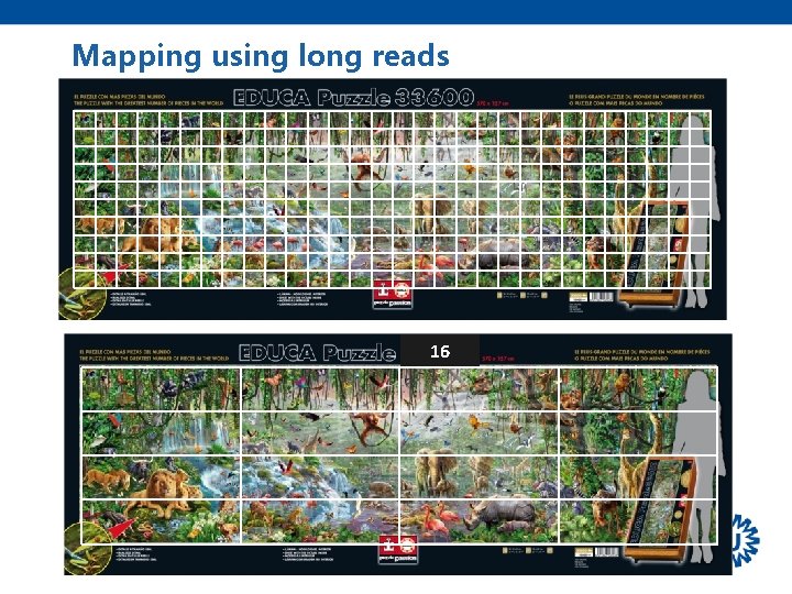 Mapping using long reads 16 