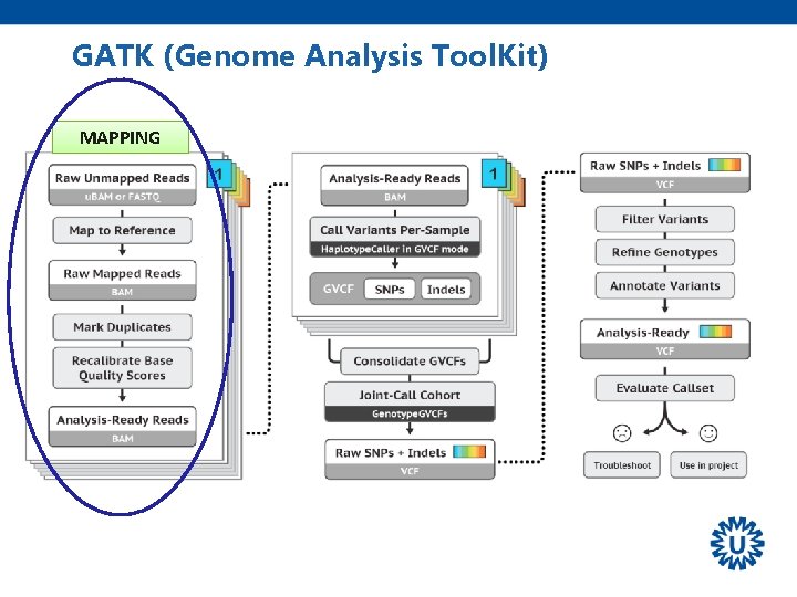 GATK (Genome Analysis Tool. Kit) MAPPING 