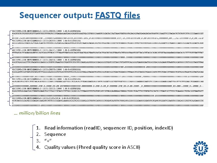 Sequencer output: FASTQ files … million/billion lines 1. 2. 3. 4. Read information (read.