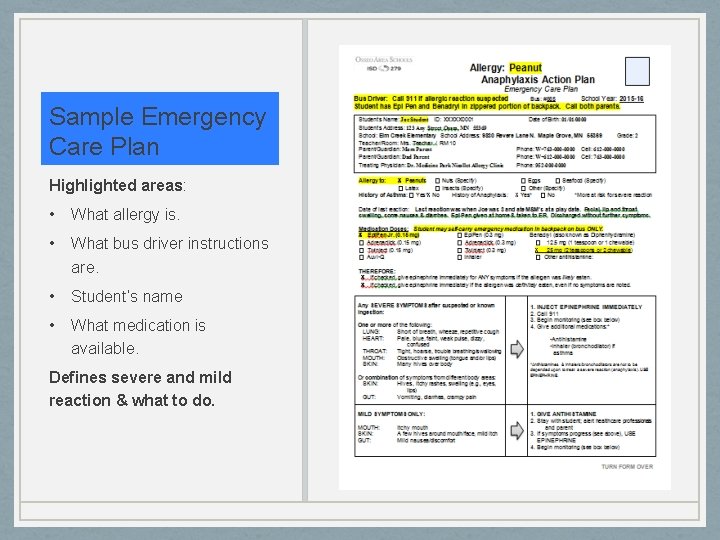 Sample Emergency Care Plan Highlighted areas: • What allergy is. • What bus driver
