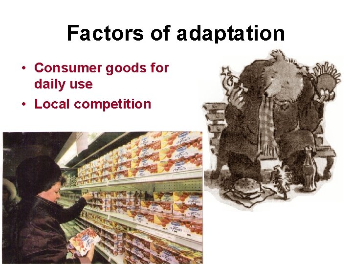 Factors of adaptation • Consumer goods for daily use • Local competition 