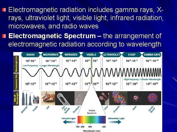 Electromagnetic radiation includes gamma rays, Xrays, ultraviolet light, visible light, infrared radiation, microwaves, and