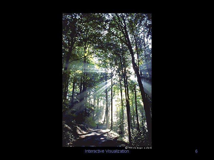 Interactive Visualization 6 