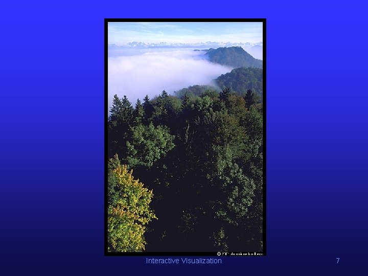 Interactive Visualization 7 