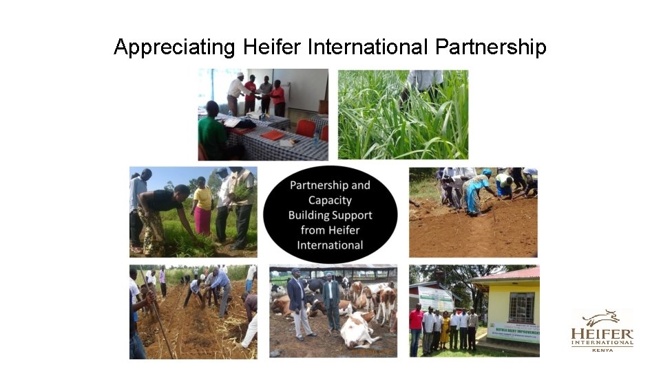 Appreciating Heifer International Partnership 