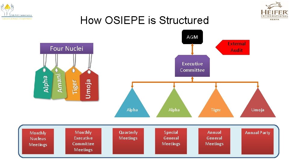 How OSIEPE is Structured AGM External Audit Four Nuclei Executive Committee Monthly Nucleus Meetings