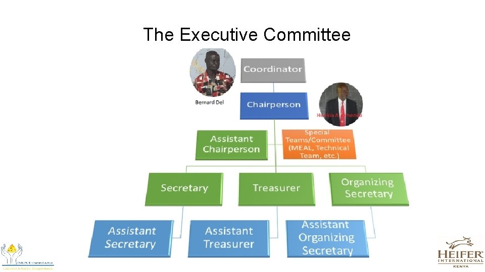 The Executive Committee 