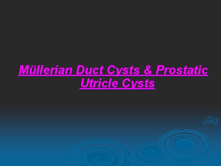 Müllerian Duct Cysts & Prostatic Utricle Cysts 