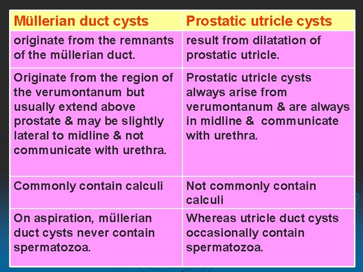 Müllerian duct cysts Prostatic utricle cysts originate from the remnants result from dilatation of