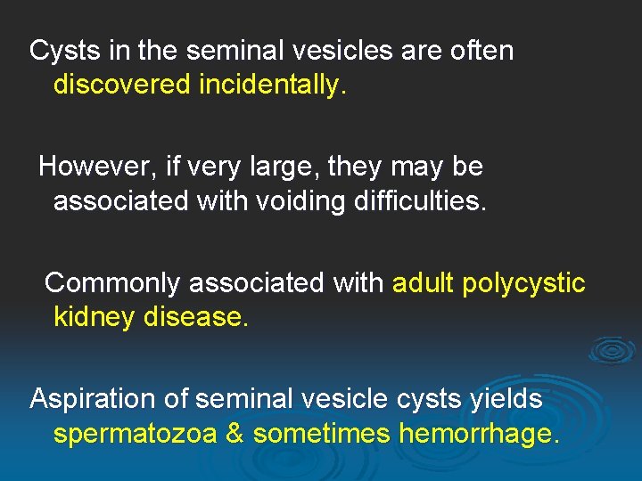 Cysts in the seminal vesicles are often discovered incidentally. However, if very large, they