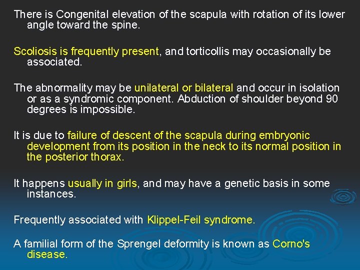 There is Congenital elevation of the scapula with rotation of its lower angle toward