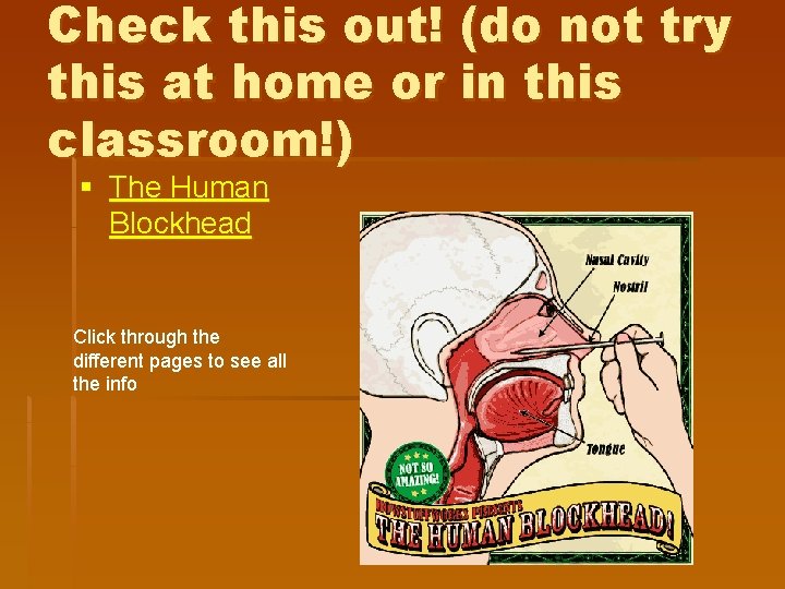 Check this out! (do not try this at home or in this classroom!) § Check this out! (do not try this at home or in this classroom!) §